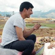 Gofcia i Mochi - galeria zdjęć - filmweb