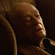 Im dalej w las, tym więcej drzew - galeria zdjęć - filmweb