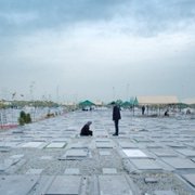 Ghasideh Gave Sefid - galeria zdjęć - filmweb