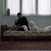 Ghasideh Gave Sefid - galeria zdjęć - filmweb