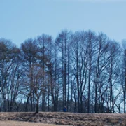 Aku wa Sonzai Shinai - galeria zdjęć - filmweb