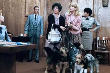 Jak za dawnych, dobrych czas&oacute;w - galeria zdjęć - filmweb