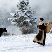 Ning Meng - galeria zdjęć - filmweb
