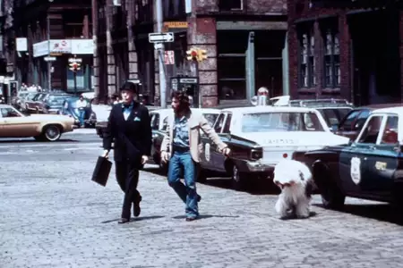 Serpico - galeria zdjęć - filmweb