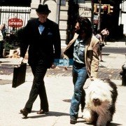 Serpico - galeria zdjęć - filmweb