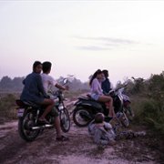 Bangkok Nites - galeria zdjęć - filmweb