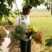 Basmati Blues - galeria zdjęć - filmweb
