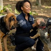 Strays - galeria zdjęć - filmweb