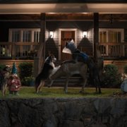 Strays - galeria zdjęć - filmweb