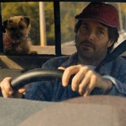Strays - galeria zdjęć - filmweb