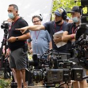 Strays - galeria zdjęć - filmweb