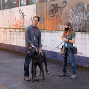 Strays - galeria zdjęć - filmweb