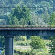 La zona - galeria zdjęć - filmweb