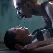 Patients of a Saint - galeria zdjęć - filmweb