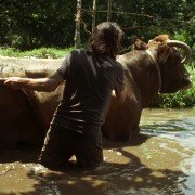 Siła ognia - galeria zdjęć - filmweb