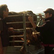 O que arde - galeria zdjęć - filmweb