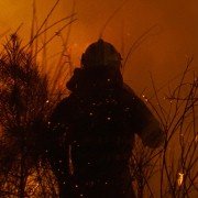 O que arde - galeria zdjęć - filmweb