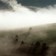 O que arde - galeria zdjęć - filmweb