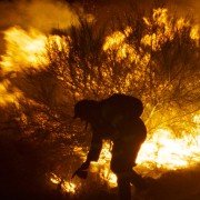 O que arde - galeria zdjęć - filmweb