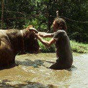 O que arde - galeria zdjęć - filmweb