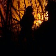 O que arde - galeria zdjęć - filmweb