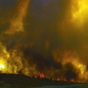 O que arde - galeria zdjęć - filmweb