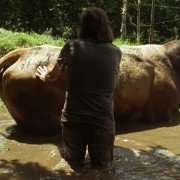 O que arde - galeria zdjęć - filmweb