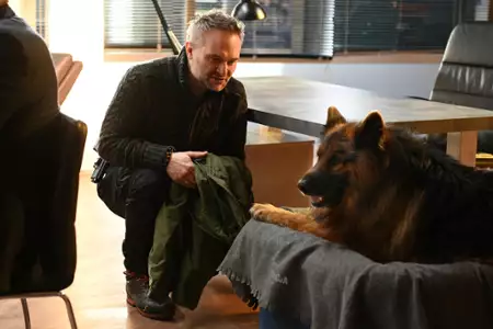 Komisarz Alex - galeria zdjęć - filmweb