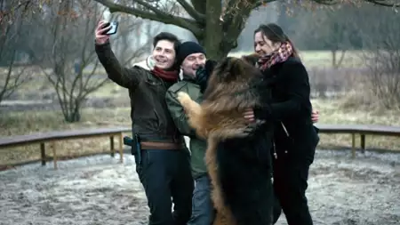 Komisarz Alex - galeria zdjęć - filmweb