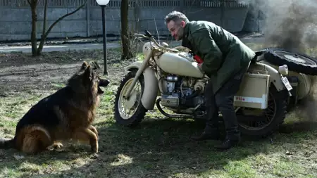 Komisarz Alex - galeria zdjęć - filmweb