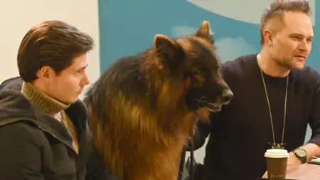 Komisarz Alex - galeria zdjęć - filmweb