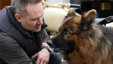 Komisarz Alex - galeria zdjęć - filmweb