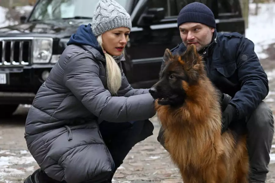 Komisarz Alex - galeria zdjęć - filmweb