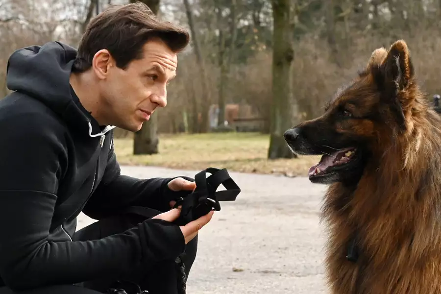 Komisarz Alex - galeria zdjęć - filmweb