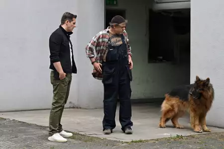 Komisarz Alex - galeria zdjęć - filmweb