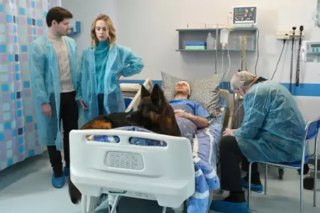 Komisarz Alex - galeria zdjęć - filmweb