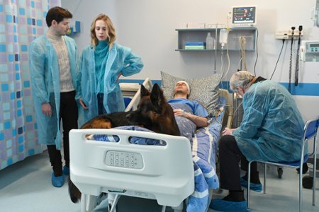 Sezon 21 Odcinek 258 Komu napisać epitafium?