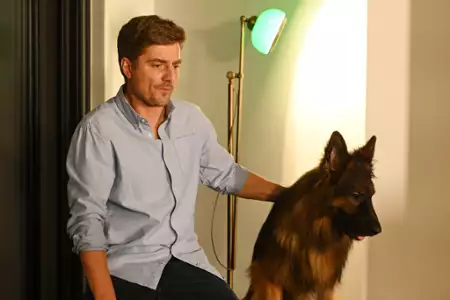 Komisarz Alex - galeria zdjęć - filmweb