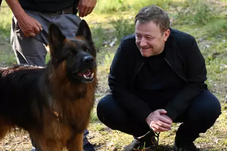 Komisarz Alex - galeria zdjęć - filmweb