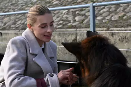 Komisarz Alex - galeria zdjęć - filmweb