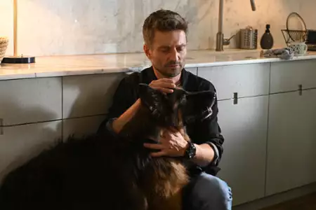 Komisarz Alex - galeria zdjęć - filmweb