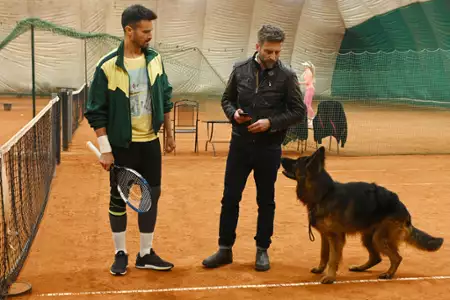 Komisarz Alex - galeria zdjęć - filmweb