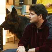 Komisarz Alex - galeria zdjęć - filmweb