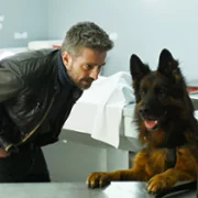 Komisarz Alex - galeria zdjęć - filmweb