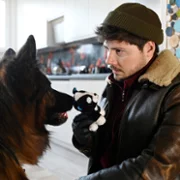 Komisarz Alex - galeria zdjęć - filmweb