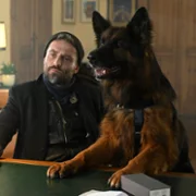 Komisarz Alex - galeria zdjęć - filmweb