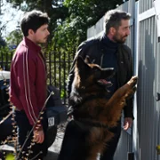 Komisarz Alex - galeria zdjęć - filmweb