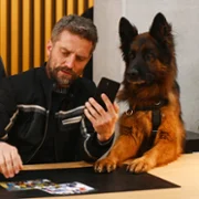 Komisarz Alex - galeria zdjęć - filmweb