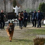 Komisarz Alex - galeria zdjęć - filmweb
