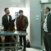 Komisarz Alex - galeria zdjęć - filmweb